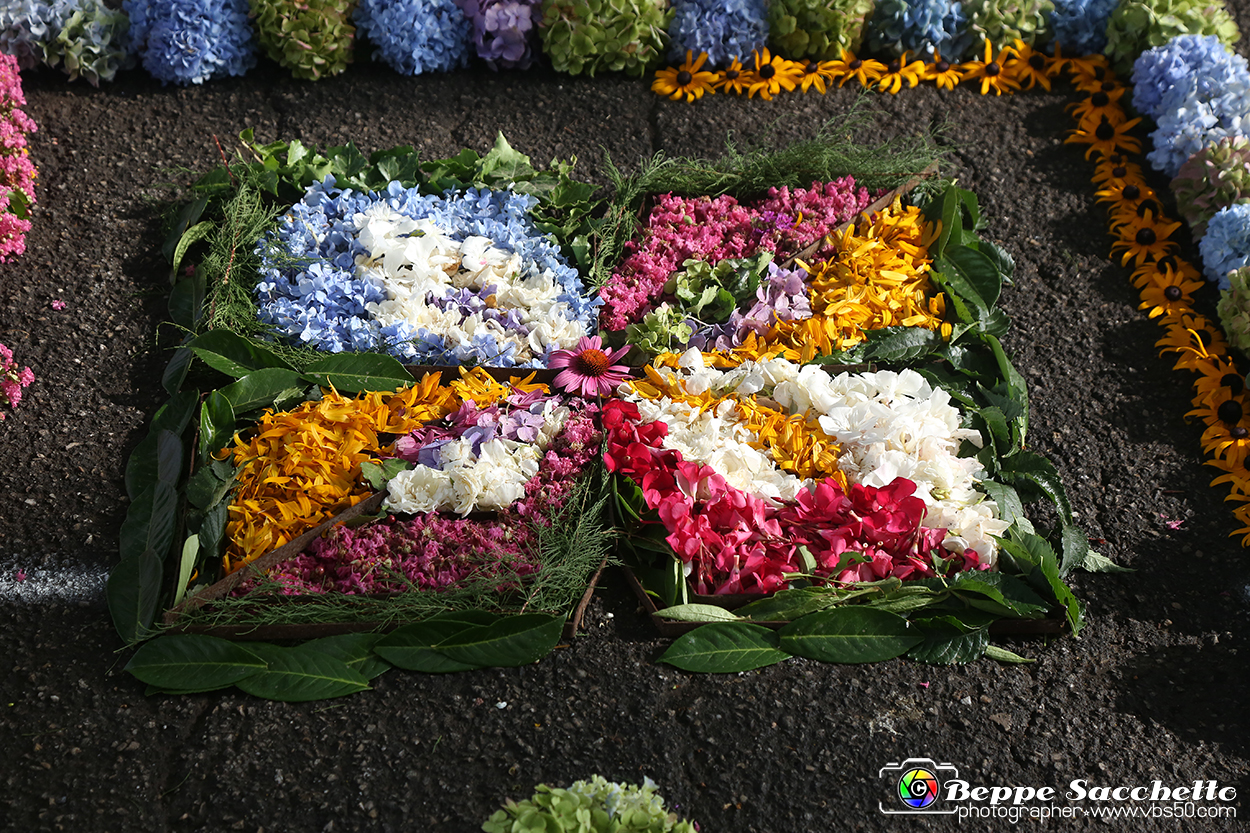 VBS_9568 - Infiorata di Villanova d'Asti 2023.jpg